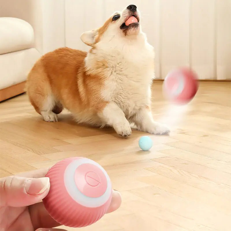 BellazPawz Ultimate Smart Ball