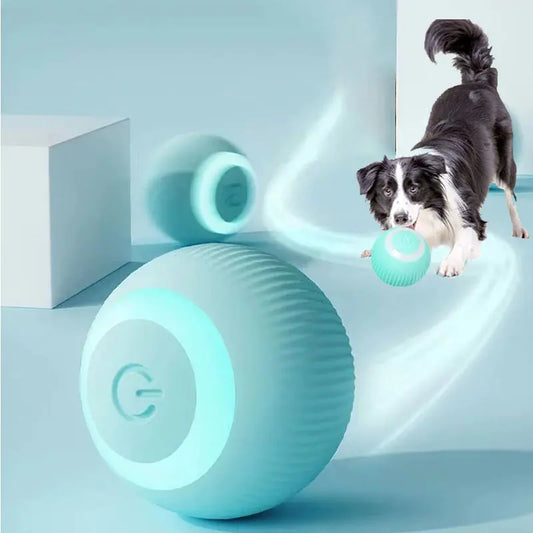 BellazPawz Ultimate Smart Ball