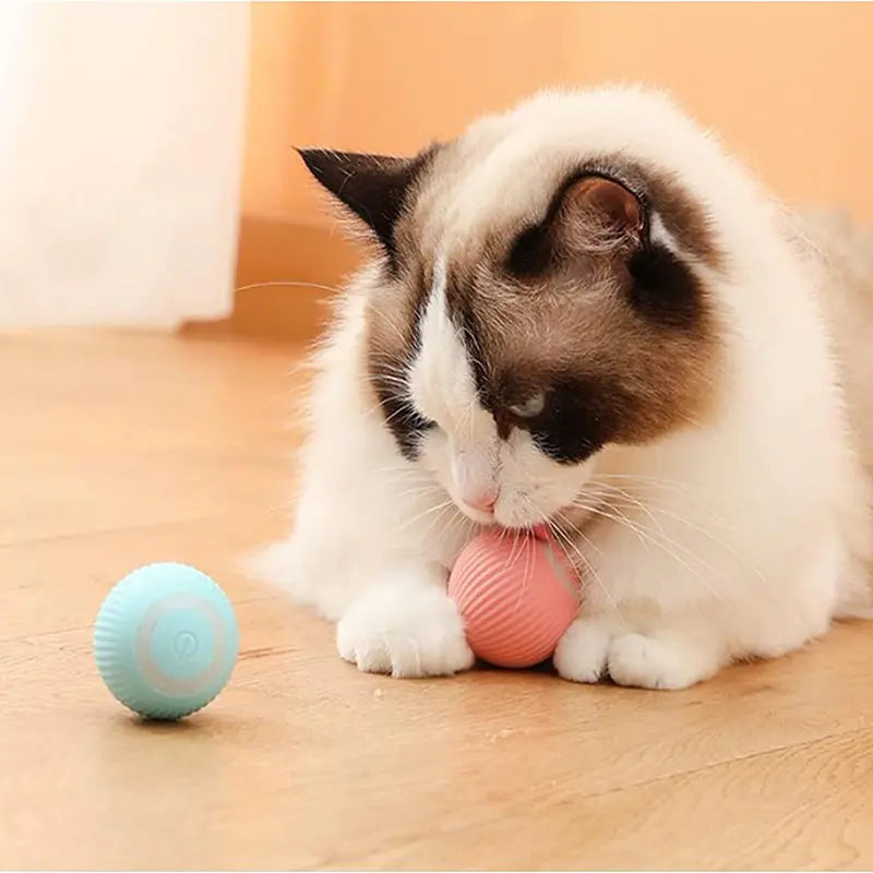 BellazPawz Ultimate Smart Ball